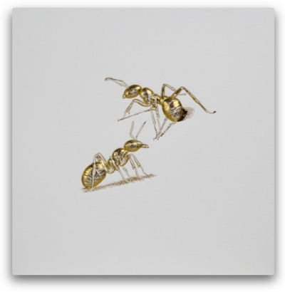 Bas-relief Blank Card with Stand - Ants (Gold)