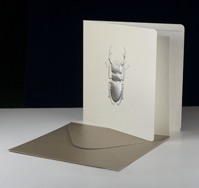 Bas-relief Greeting Card - Stag Beetle (Silver)