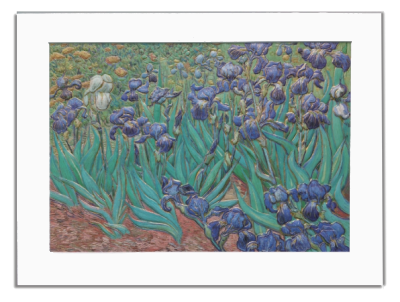 Bas-relief Print - Irises