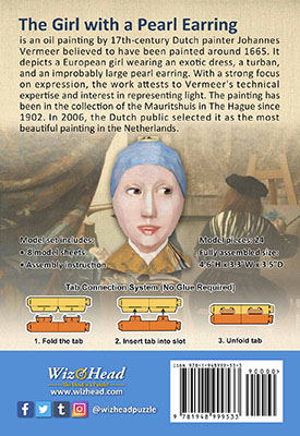 Girl with a Pearl Earring (Pocket Size)